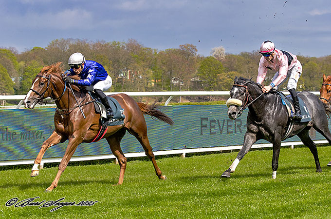 No Surrender (DEN) imponerede stort ved hestens maidensejr, redet af jockey Elione Chaves, lørdag den 26. april 2025. Foto: Burt Seeger