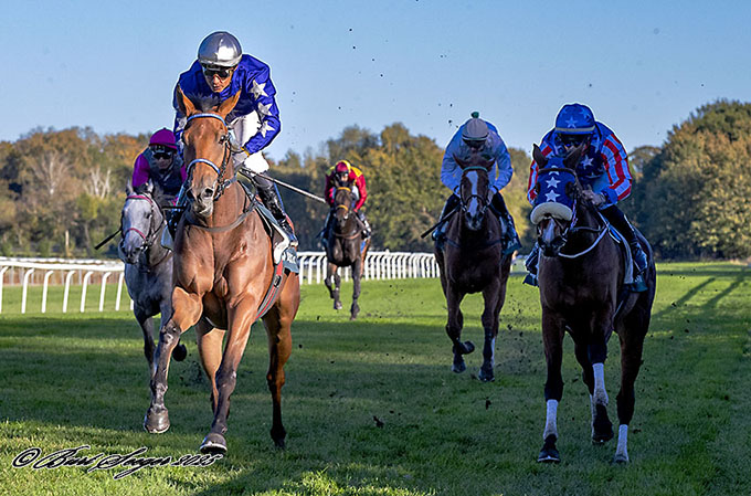 Efter et suverænt ridt af jockey Carlos Lopez indtager Sandhurst (SWE) vindercirklen efter sejr i klassikeren St. Leger. Foto Burt Seeger