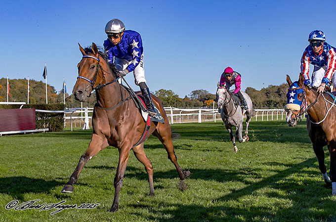 Sandhurst med sejr i Dansk St. Leger 2025, redet af jockey Carlos Lopez. Foto Burt Seeger