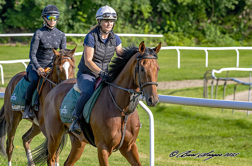Sandhurst (SWE) med Christina Pedersen, morgentræning mandag op til derbydag 2. august. Foto Burt Seeger