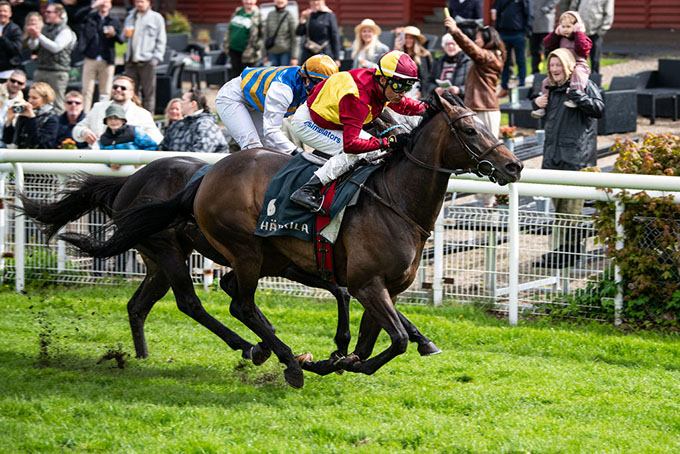 Amicone (IRE) med jockey Carlos Lopez trækker sig sejrrigt ud som vinder af løbet. Foto: Johanna Friberg - https://fribergpics.pixieset.com/