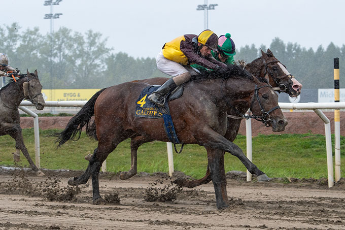 Geoffrey (GB) i nærkamp med Röde Baronen, Jägersro 13. sep. Jockey Jacob Johansen. Foto: Stefan Olsson / Svensk Galopp
