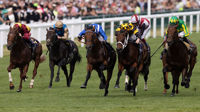 Great Wish (IRE), yderst til venstre med bourgogne/gule farver blandt fortropperne kort før mål. Foto: racing post 