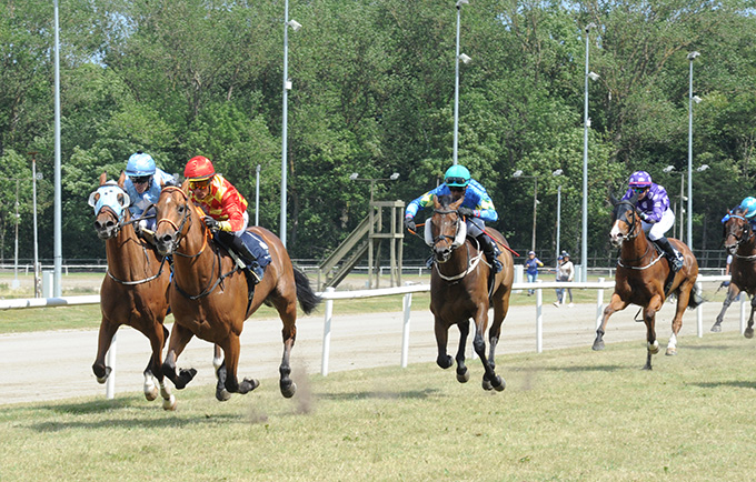 Nuevo Estrella (IRE), ejet af SVD A/S, og med jockey Per-Anders Gråberg, besejrer otte konkurrenter i Champions Sprint, Jydsk Væddeløbsbane, 4. juli, 2026. Foto: Ole Hindby