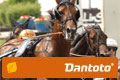 Dantoto
