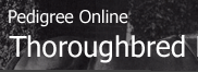 Pedigree Online Thoroughbred Database
