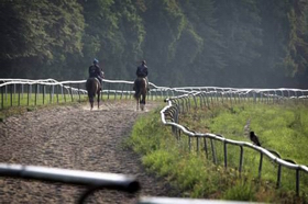 Træning på Klampenborg Galopbane. Foto: Scanrace.dk Træning på Klampenborg Galopbane. Foto:
Scanrace.dk